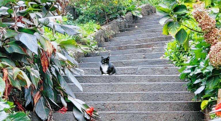 Vacation home with terrace | Pet-friendly — photo 5