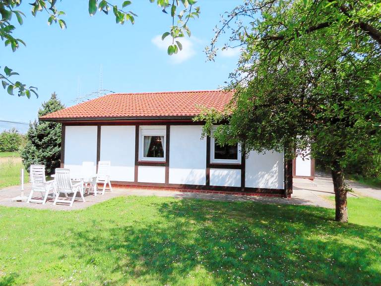 foto1