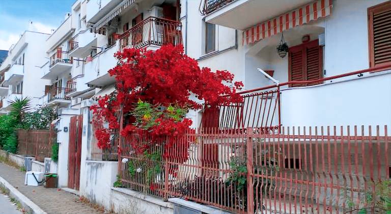 Nice apartment | Pets allowed — photo 5
