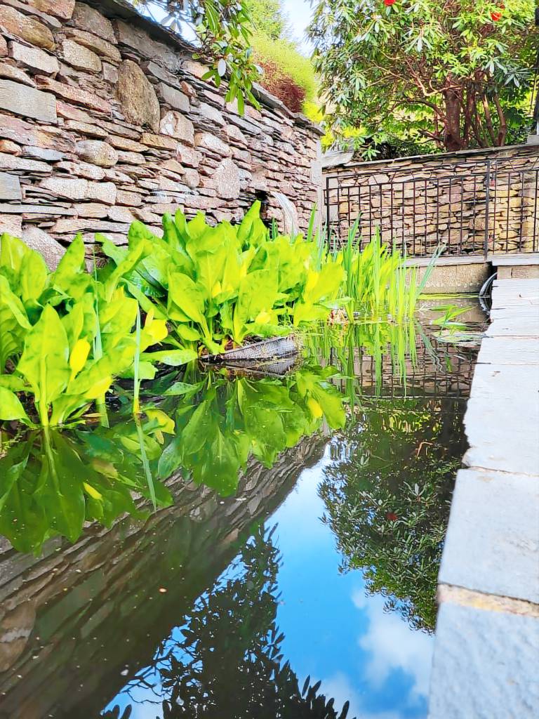 Vacation home with terrace & yard — photo 4
