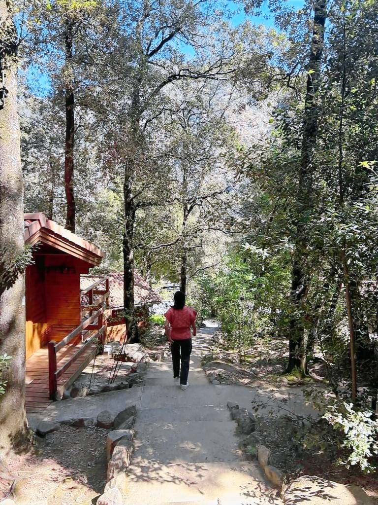 Chalet  Calenzana