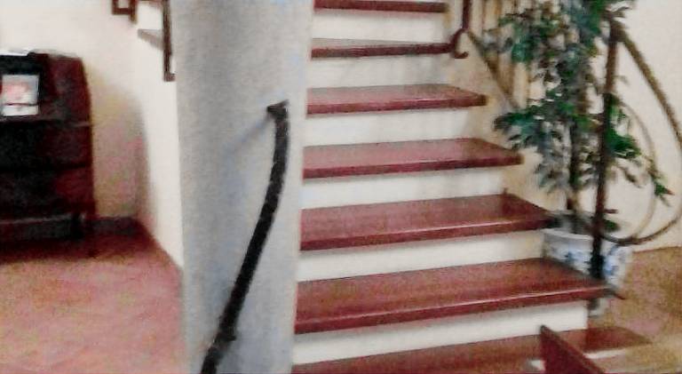 Il cotogno — photo 2