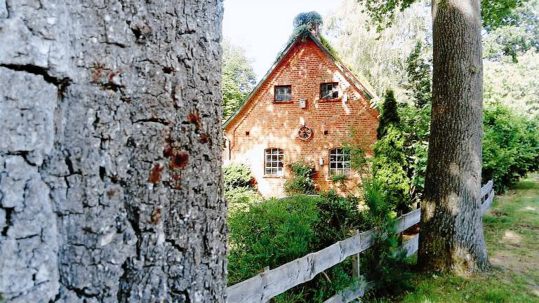 Ferienhaus Bad Fallingbostel