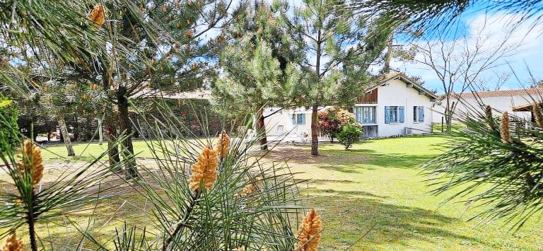 Gîte Biscarrosse