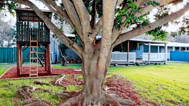 House Lemon Tree Passage