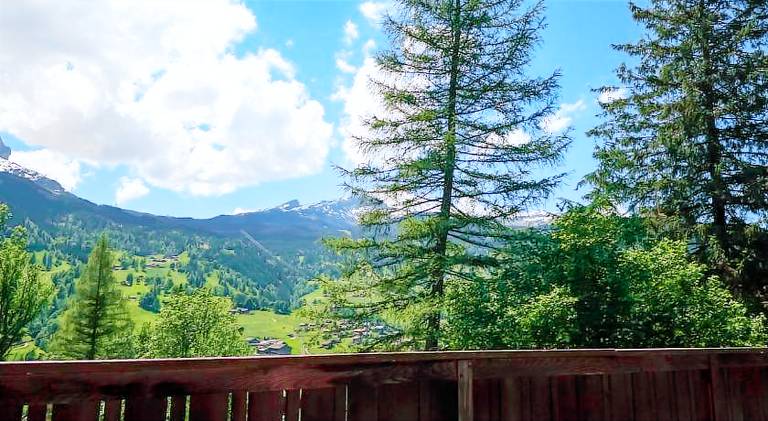 Apartment with 1 room for 4 persons in Grindelwald