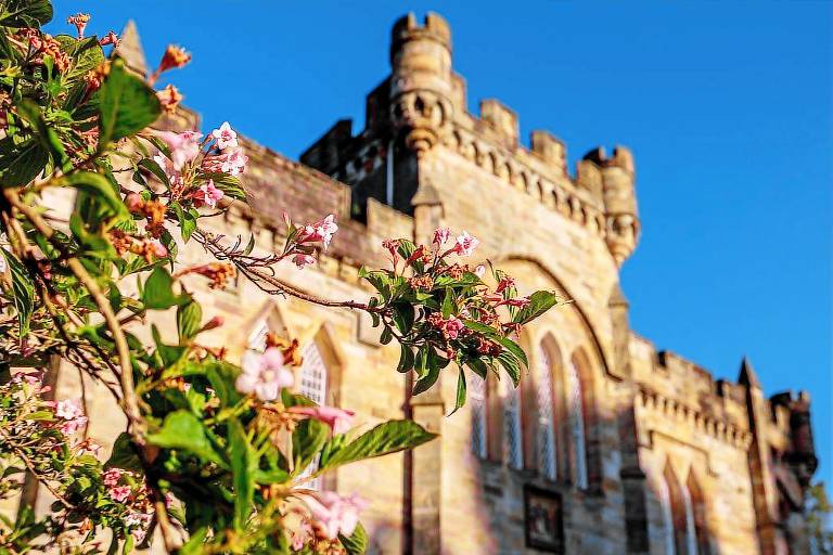 Castillo  Ayrshire Oriental