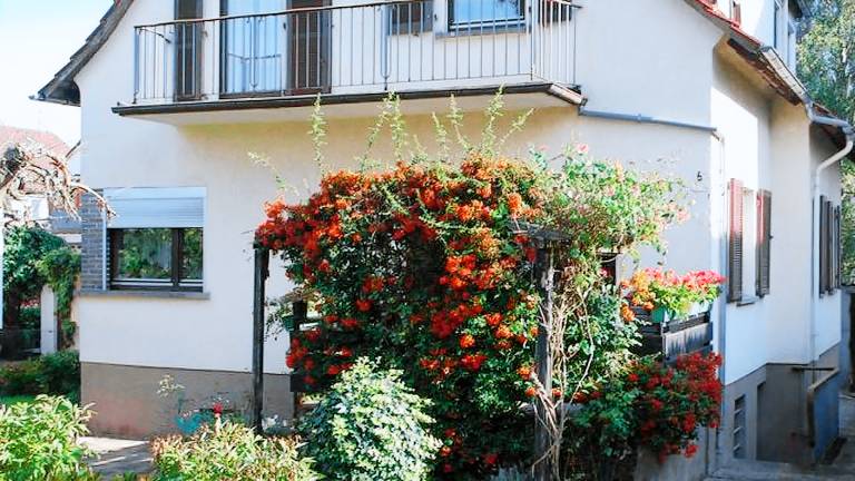 Ferienwohnung  Michelstadt