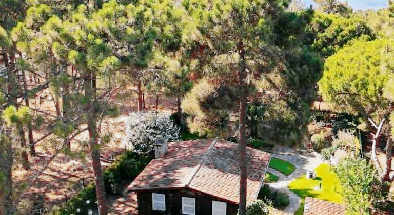 Holiday apartment with 1 room for 5 persons in Setubal