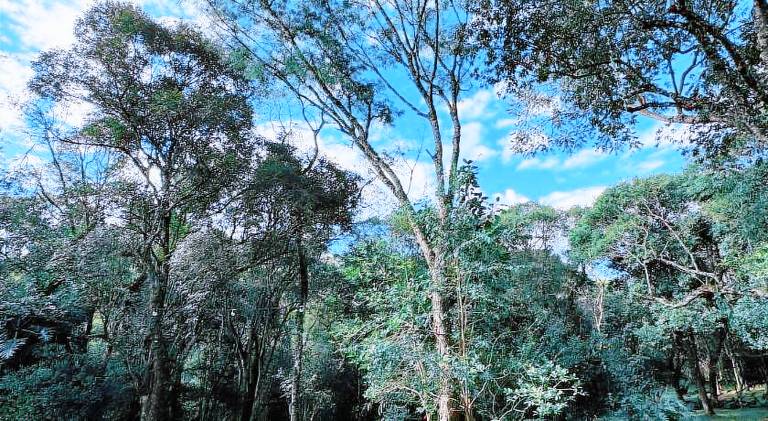 Wonderful lodge with hot tub, garden & barbeque | Pet-friendly in Chapecó