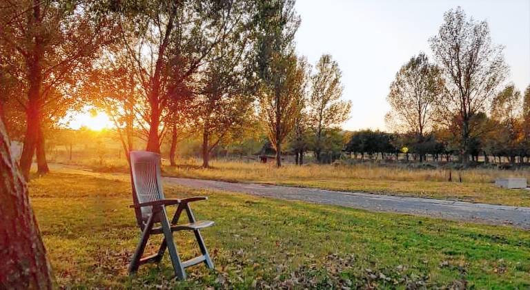 Rental apartment | Dogs allowed in Veszprem