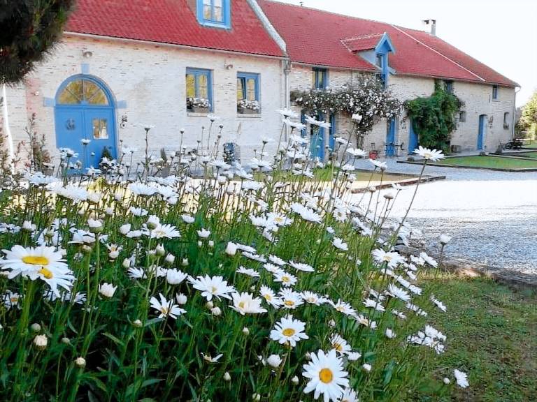 Cottage  Bergues
