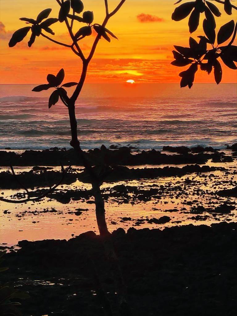 Ferienhaus Santa Cruz