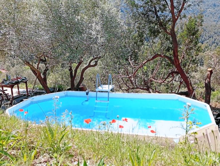 Villa  Ollioules