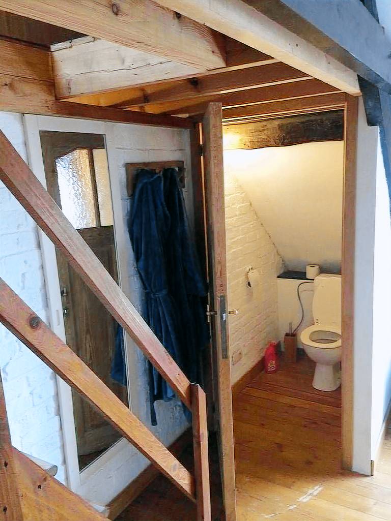 La Maison des Chiens — photo 3