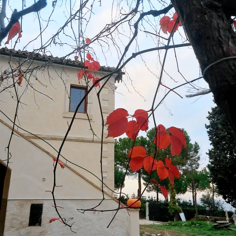 Bauernhof in Offida f&uuml;r max. 6 Personen