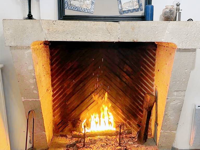 Rustic cottage with fireplace in Saint-Lubin-en-Vergonnois, pets allowed — photo 3