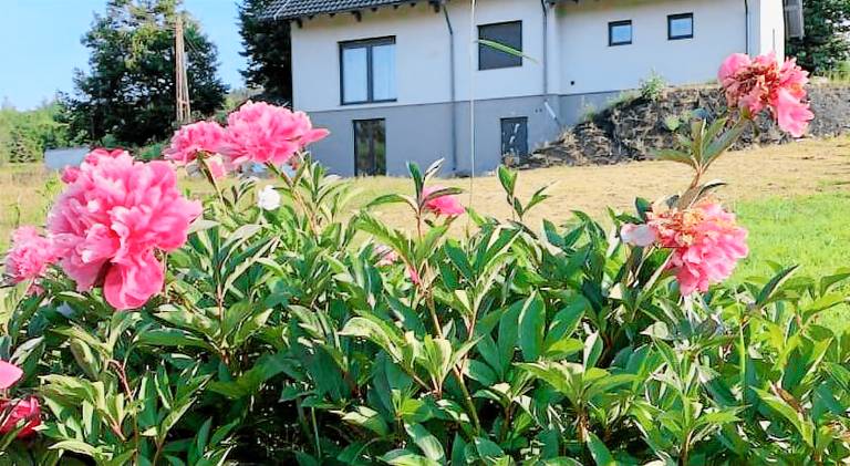 Apartament Sosnówka