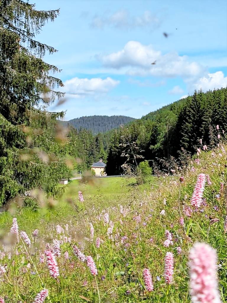 Chalet Eibenstock
