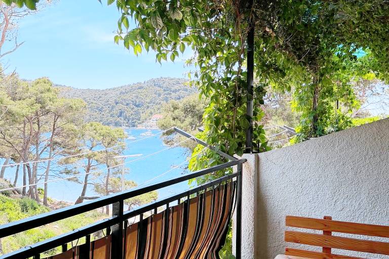 Apartment  Saplunara