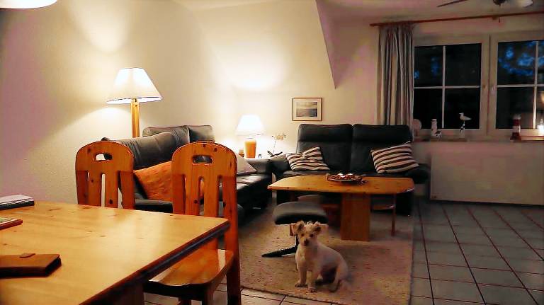 Komfortable Ferienwohnung mit Balkon und Kaminofen in Petersdorf — photo 3