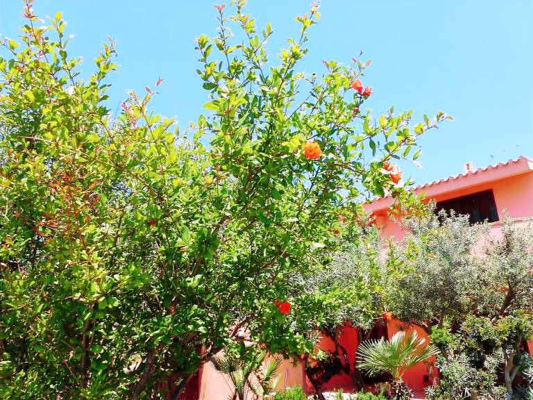 Casa  San Giovanni di Sinis