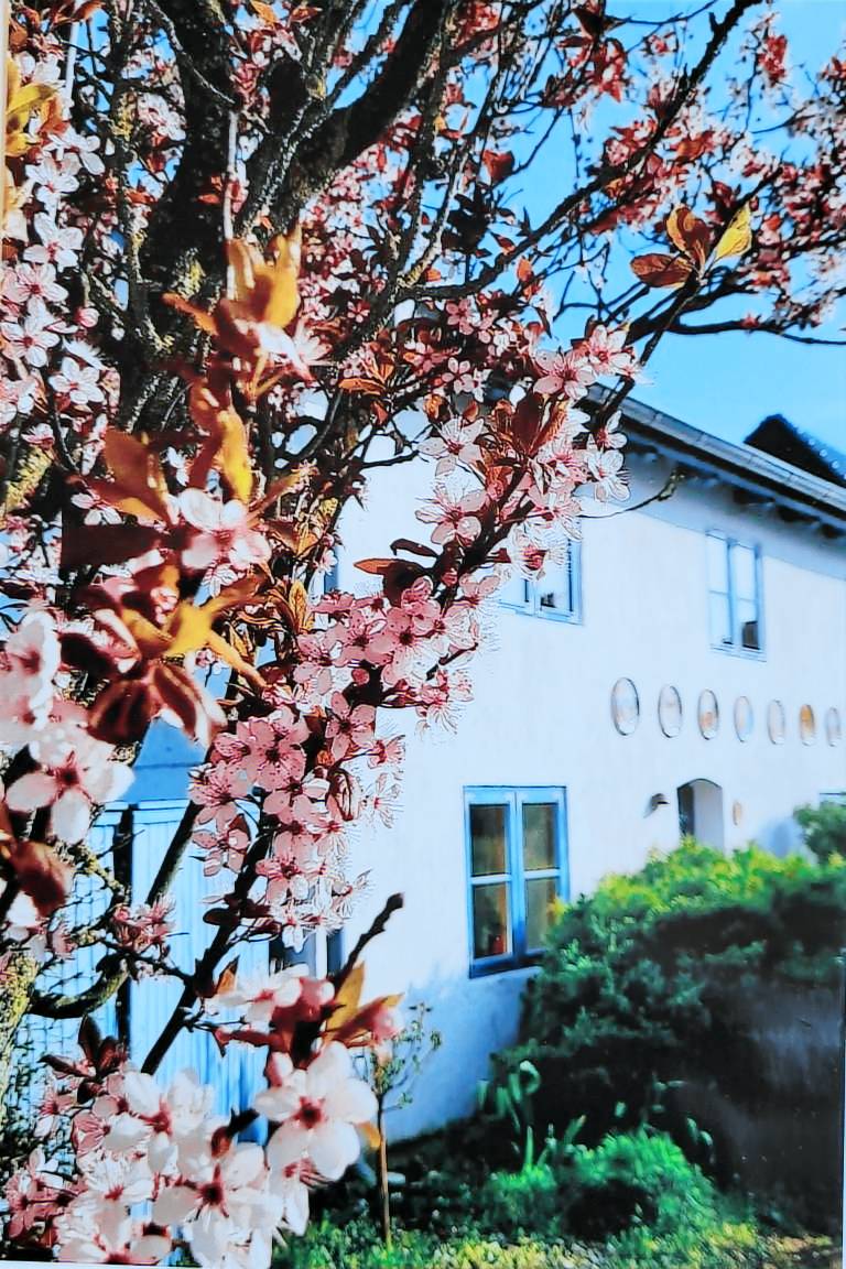 Ferienwohnung Schaprode