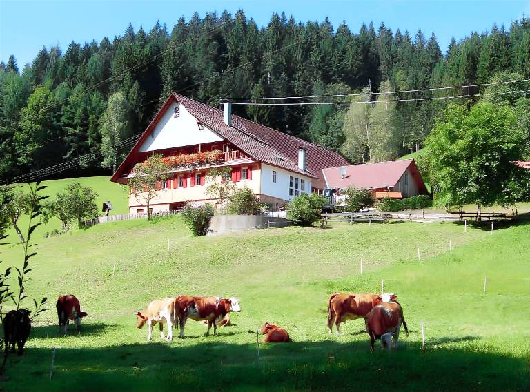 Ferienwohnung Oberwolfach