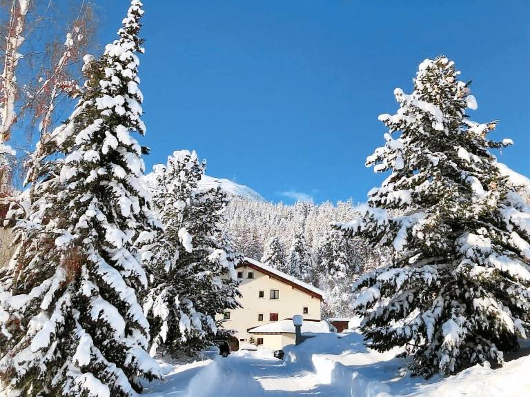 Ferienwohnung mit Hund in La Punt f&uuml;r max. 2 Personen