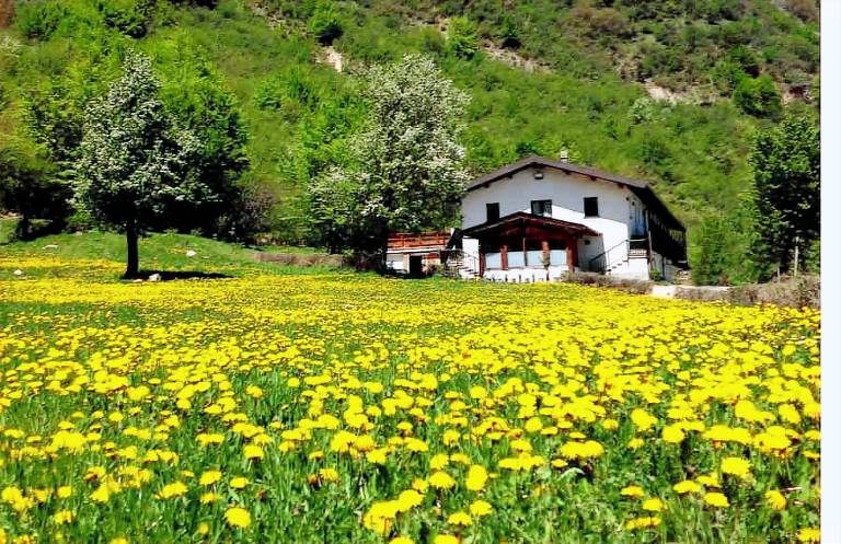 Camera privata Brallo di Pregola