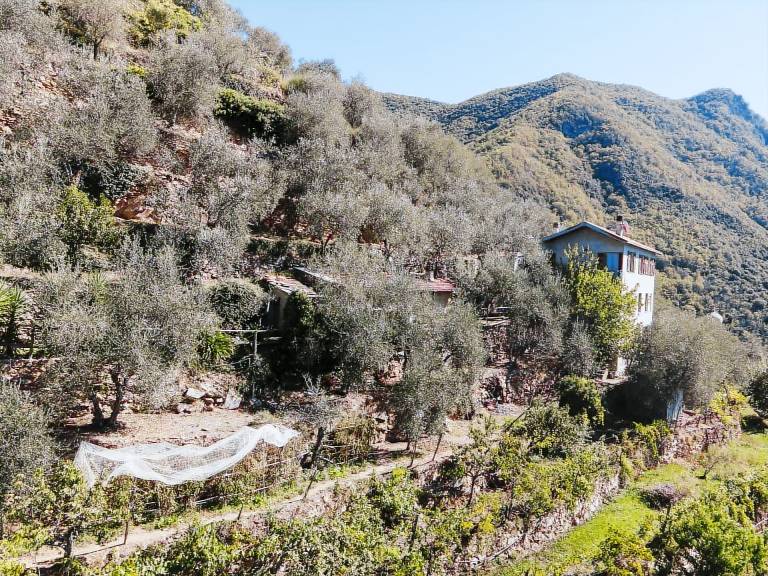 Casa Triora