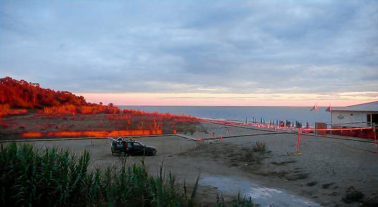 Vacation home with patio | Beach nearby | Good for workation | Pets are welcome in Ascea