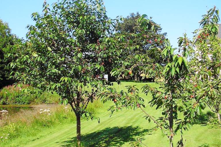 Balhousie Farm