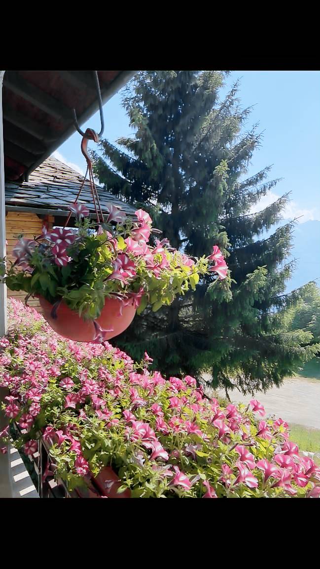 Appartamento vacanza  Antey-Saint-André
