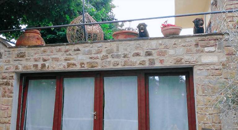 Lovely rental apartment | Dogs allowed — photo 3
