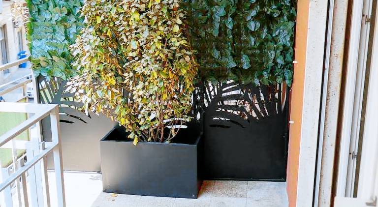 B&B La Dimora di Rosa — photo 4