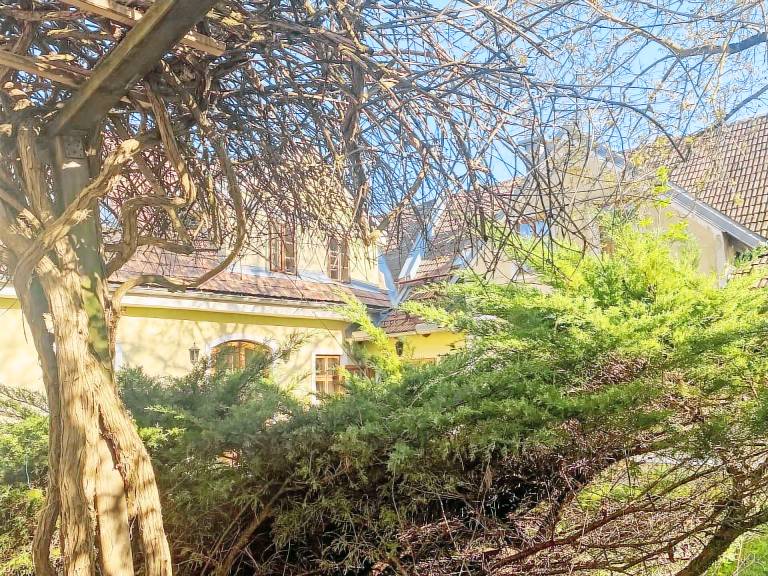 Appartement  Gansbach
