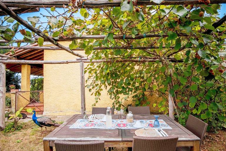 Ferienwohnung in Montieri, Travale f&uuml;r max. 7 Personen, 