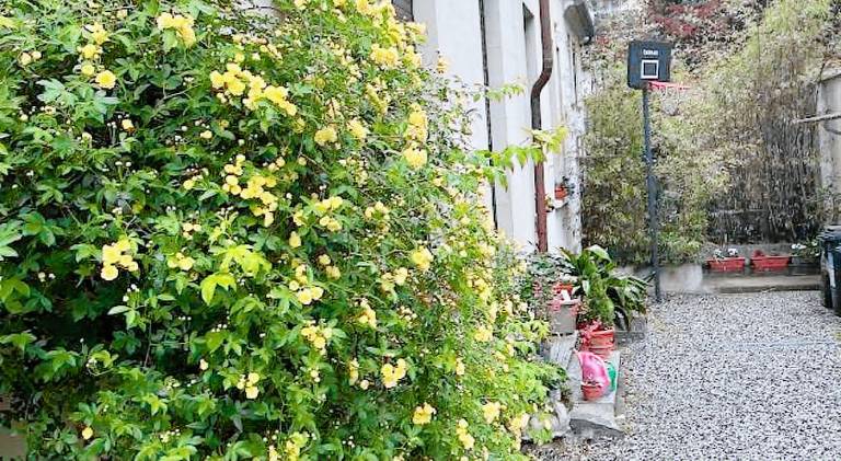 Rental apartment | Near Castello del Valentino | Pet-friendly in Turin