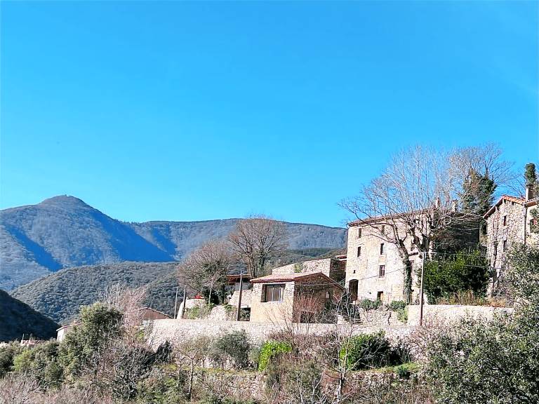 Maison de vacances  Valleraugue