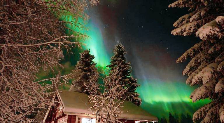 Chalet | Pets are welcome in Rovaniemi