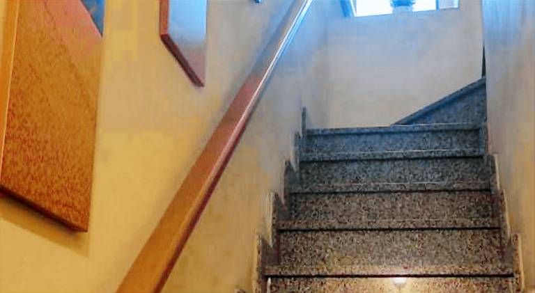 Lovely holiday apartment | Pets are welcome — photo 4