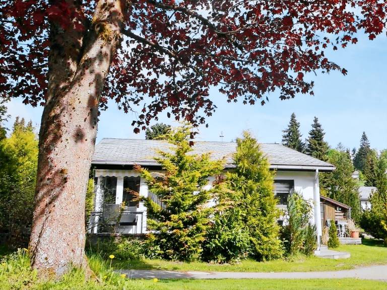 Huis Willingen