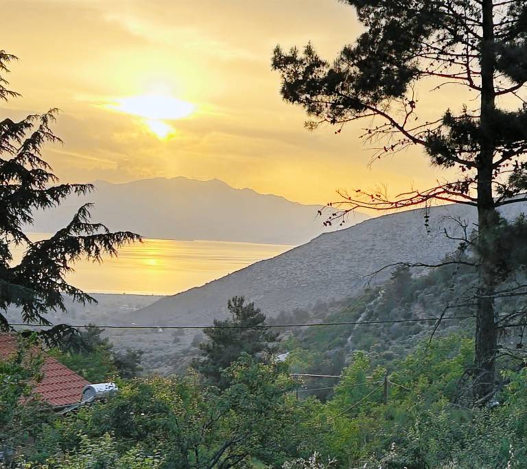 καταφύγιο  Thasos