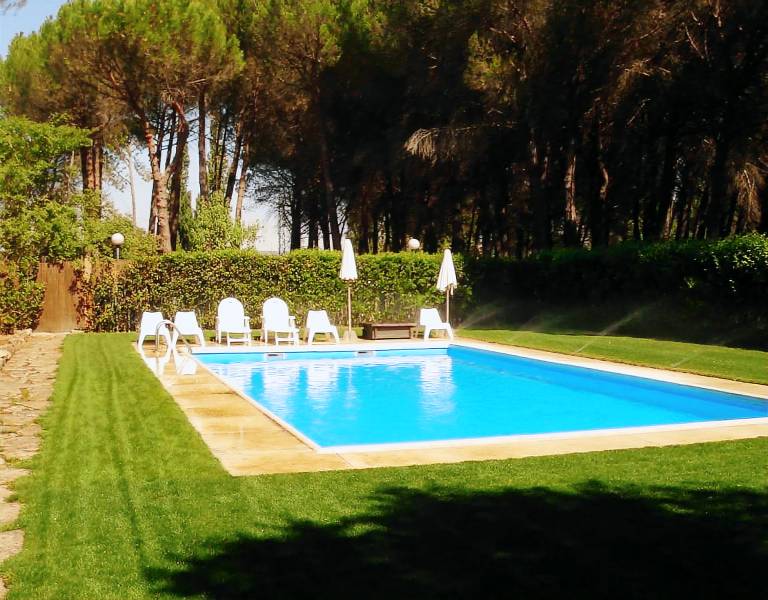 Family-oriented spacious house with private pool, garden & barbeque | Garden view | Dogs allowed in Valladolid