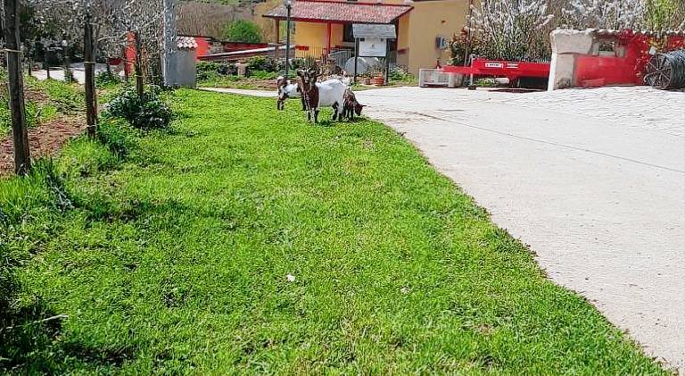 Agriturismo San Tommaso in Avellino