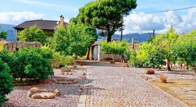Ample farm with BBQ, yard & terrace | Dogs allowed in Viseu