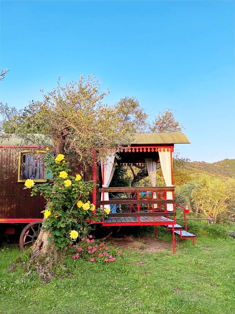 Agriturismo Massarosa