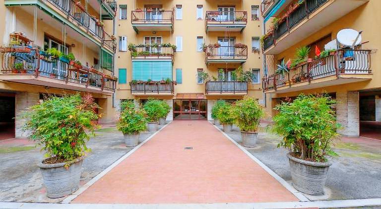Holiday apartment with terrace | Dogs allowed — photo 3