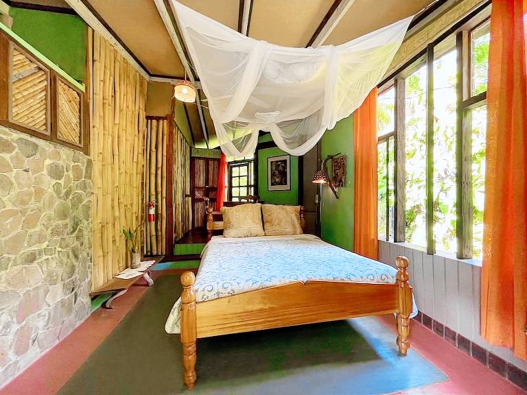 Logement Fond Cani